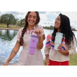 Stanley - copo de aço inoxidável IceFlow de 30 onças com palha e névoa Online