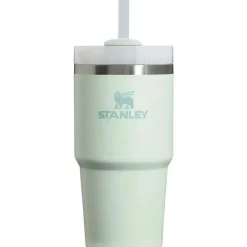 Stanley - Copo isolado a vácuo de aço inoxidável Quencher H2.0 FlowState de 20 onças, névoa Fashion