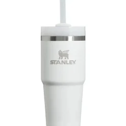 Stanley - Copo isolado a vácuo de aço inoxidável Quencher H2.0 FlowState de 14 onças, Frost Hot