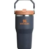 Stanley - IceFlow 2.0 Flip Straw Tumbler with Handle 20 Oz, Twilight Outlet