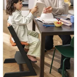Stokke - Tripp Trapp® High Chair², Cushion And Tray, Glacier Green New
