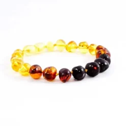 Amber Monkey The - Pulseira Barroca Arco-íris de Âmbar Báltico Polido 7-8 polegadas Fecho de Parafuso Outlet