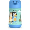 Thermos - Garrafa de canudo de aço inoxidável com isolamento a vácuo de 10 onças, azul Sale
