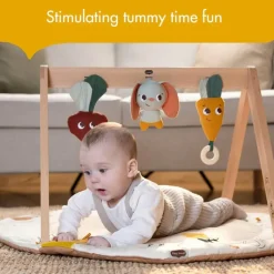 Tiny Love - Gymini W/Book, Garden of Adventure Collection Discount