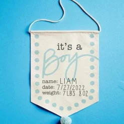 Mud Pie Torta de Lama - Placa de Anúncio de Novo Bebê, Menino 18 1/2 x 11 Clearance