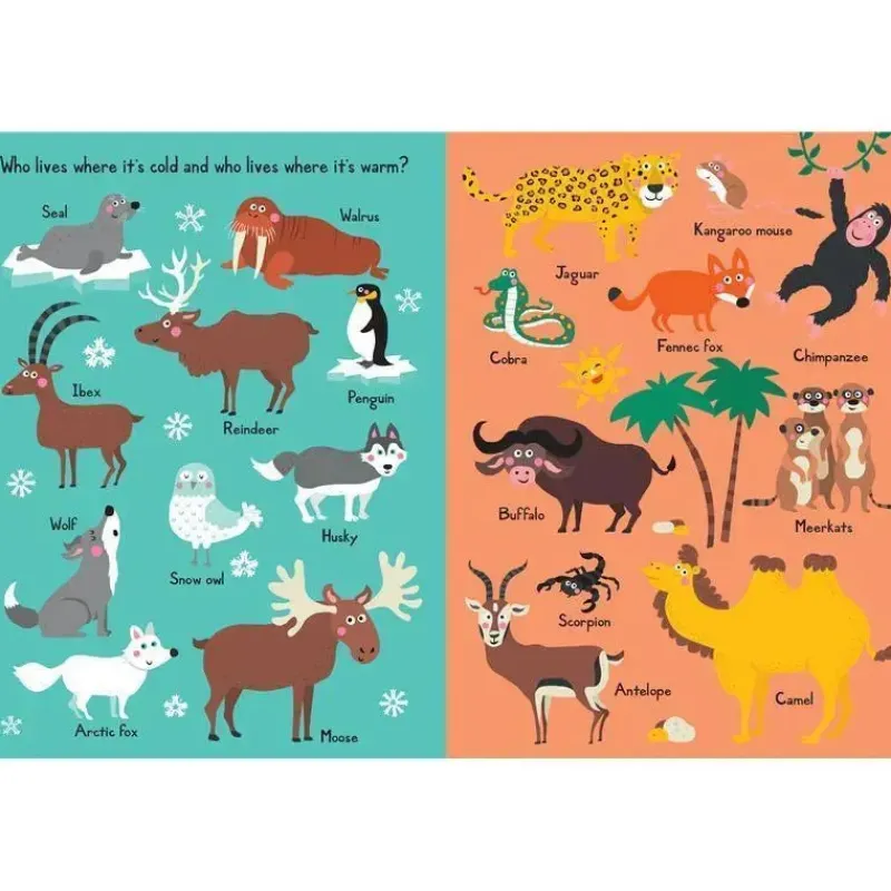 workman_publicando_meu_li_SKUkszh8t3j_5.webp Workman Publishing Workman publicando meu livro de animais opostos New