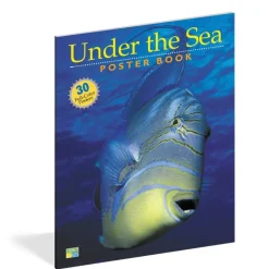 Workman Publishing Pbs Kids Under The Sea Book Fashion